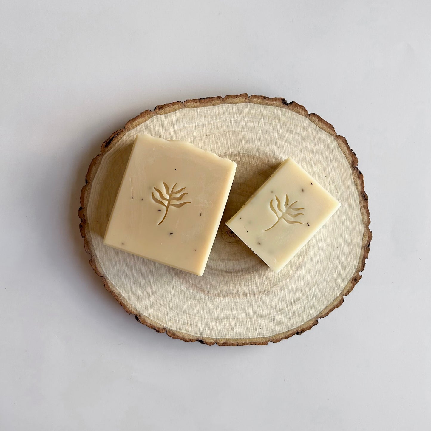 Eucalyptus Mint - Mini